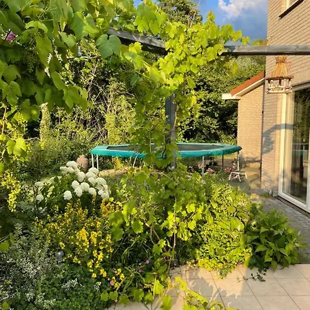 Hotel Met Privé Zwembad En Sauna Eibergen