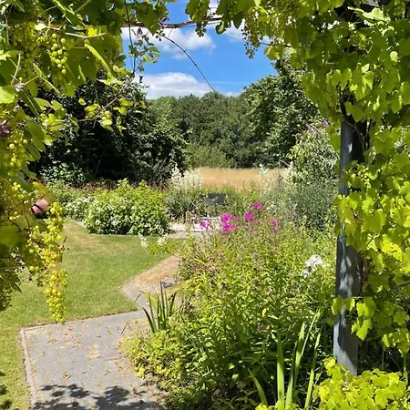 Hotel Met Privé Zwembad En Sauna Eibergen