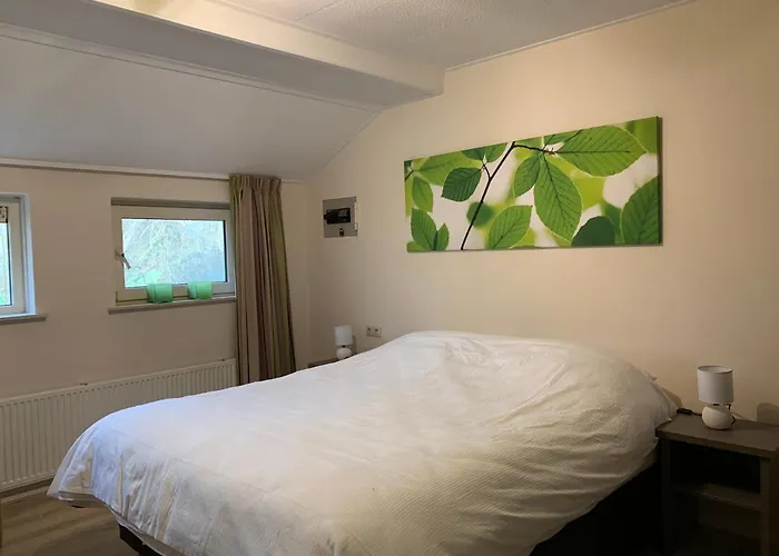 Met Privé Zwembad En Sauna