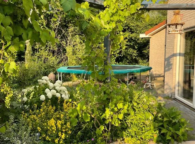 Hotell Met Prive Zwembad En Sauna Eibergen