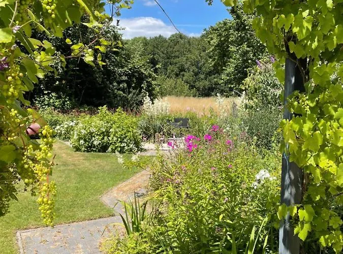 Hotell Met Prive Zwembad En Sauna Eibergen